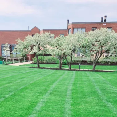 Commercial property maintenance featured image