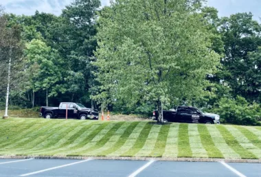 New Lawn Installation featured image