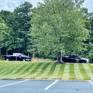 New Lawn Installation featured image