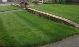 Residential Landscape Property Maintenance