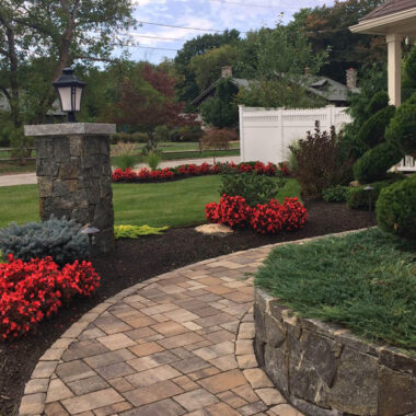 Landscape Design featured image