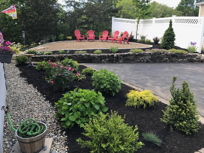 Inexpensive Landscape Plantings