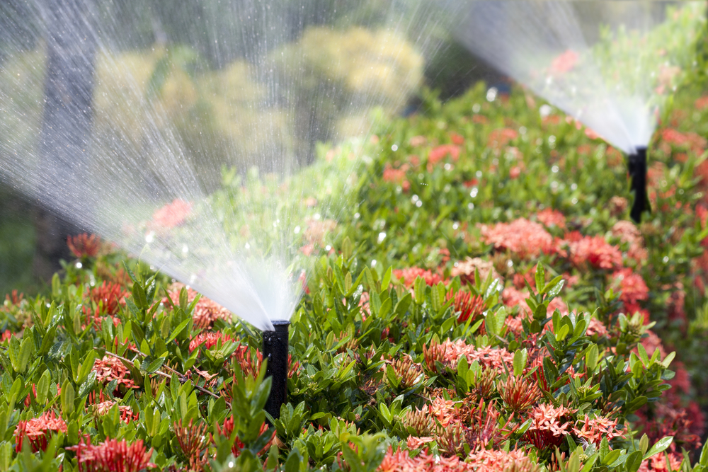 North Shore Irrigation Systems