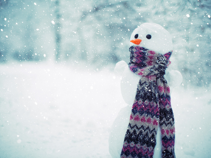 North Shore Snow Plowing Company